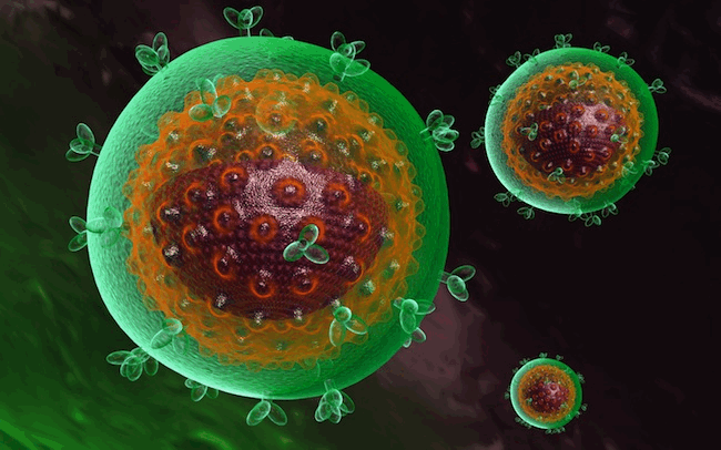 Hep-C-Virus